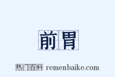 前胃是什么意思的图片